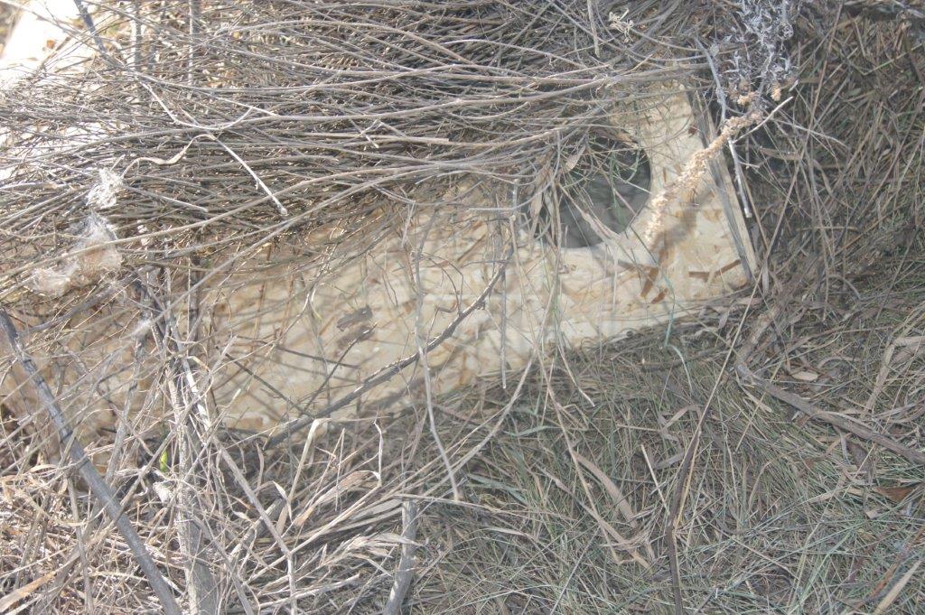 Машинки на Бечаснова.jpg Машинки на Бечаснова.jpg